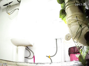 精品推薦 從未流出過的小旅館衛生間高清偷拍到的夜晚豐滿少婦如廁噓噓 雪白大屁股看得欲火焚身 720P高清原版