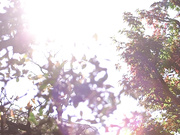 [JUX-052] 今日、嫂子搬过来了…。沖ひとみ【破解】 - 1of5