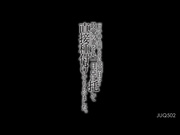 [JUQ-502] 一ヵ月で最も妊娠しやすい危険日に… 最愛の妻を丸一日、兄に托して直接種付けしてもらいました。 森日向子 【破解】 - 1of5