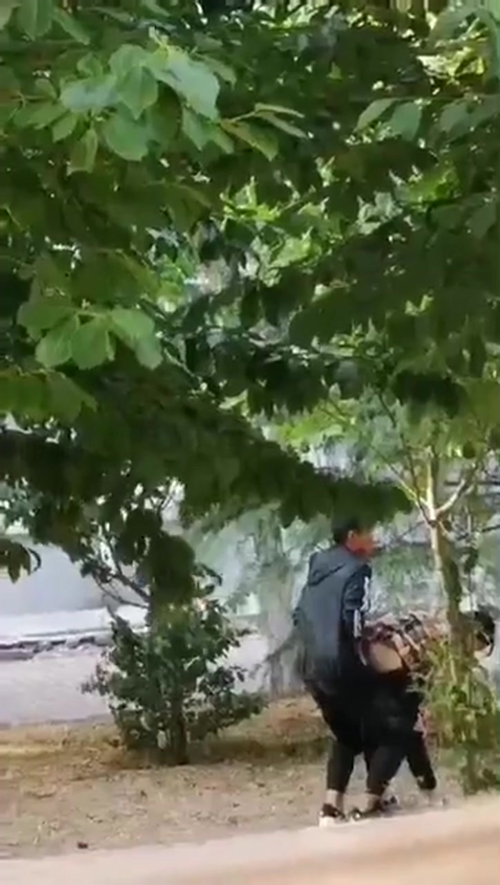 最新门事件刚放假某省财经大学宿舍没装空调情侣跑到院子里的树荫下啪啪几个同学躲在宿舍里偷窥调侃