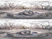 VRBANGERS-Hot Asian Marica Hase Cum Hard And Squirts!