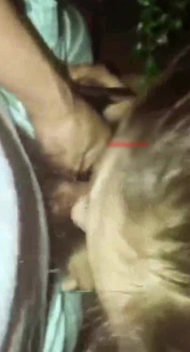 求你不要杀我，钱全部给你白领下夜班被色狼尾随拖到草丛强干喷射一脸对白精彩刺激