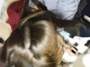 小女友生活视频到做爱全过程 别别能不能慢点1080无水