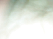 真实自拍14-性感漂亮的台湾小美女和网友吃饭时不幸中招,出租屋各种玩弄,操完一次不过瘾把她菊花也破了！