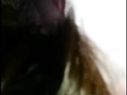 大学生女友周末在宿舍给男朋友吹硬大鸡巴啪啪