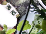 小伙提前开好房等待苗条年轻长发妹子来打炮听对白貌似是援交妹操完穿衣服就走