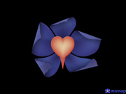 推油按摩啪啪-性感妹子全身抹油按摩深喉口交被国外猛男各种暴操