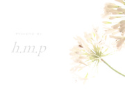 [HMPD-10038] 爆乳治療師最高射精男性機能向上美容沙龍 推川ゆうり - 1of5