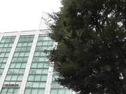 马赛克破坏版葵司DVAJ-004