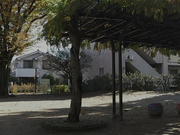 [JUX-553] 高飛車女上司 唯命是从办公室 かすみ果穂【破解】 - 1of4