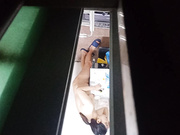 偷拍楼上00后妹子洗澡奶子还不小.