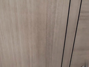 情色舞孃-辛尤里